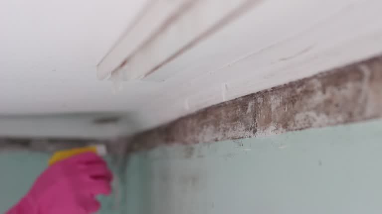 Mold Remediation for Rental Properties in Creedmoor, NC